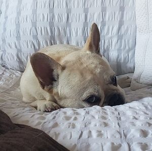 Meet your Posher, Jill